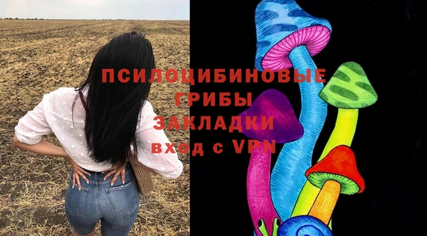 марихуана Новозыбков