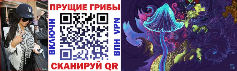 купить закладку  это как зайти  blacksprut как войти  Псилоцибиновые грибы Cubensis  Кохма 