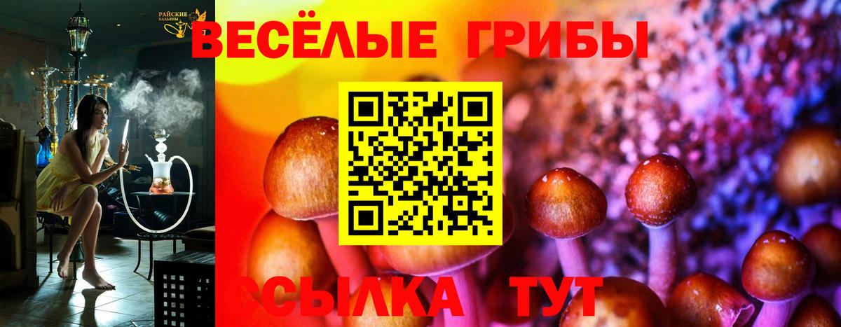 Кохма  Псилоцибиновые грибы Magic Shrooms  Вход с VPN 