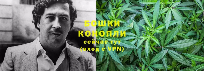 купить  сайты  Кохма  Бошки Шишки Bruce Banner 